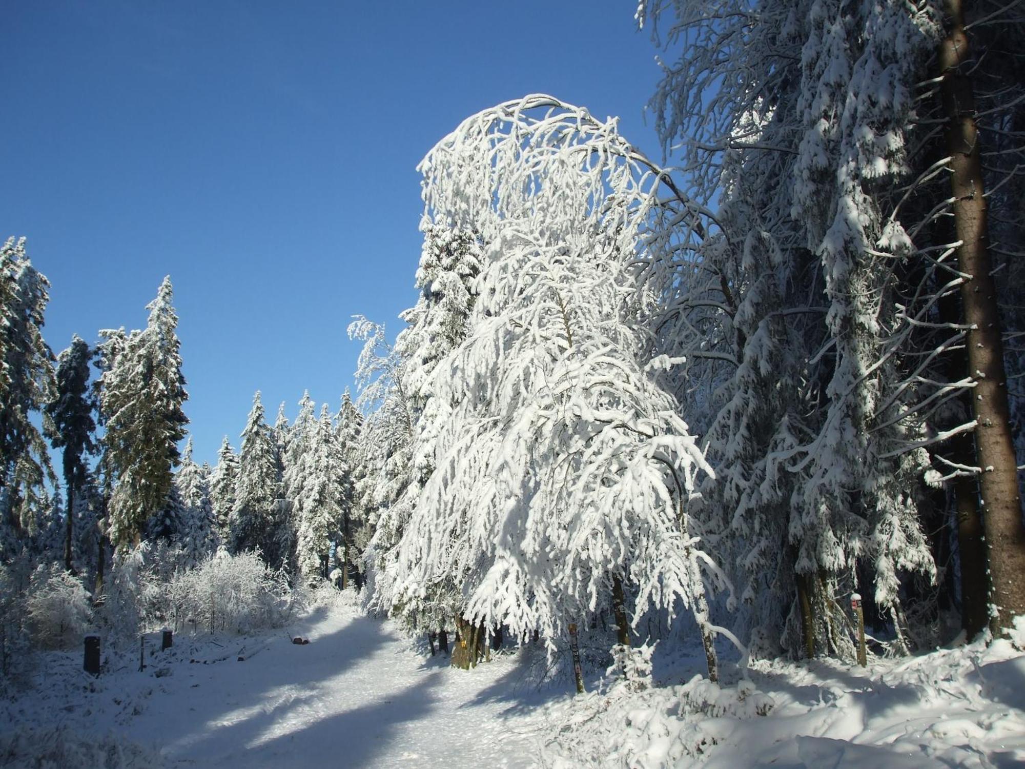 Ferienwohnung Hankeln Winterberg Dış mekan fotoğraf